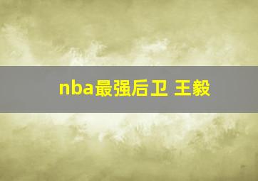 nba最强后卫 王毅